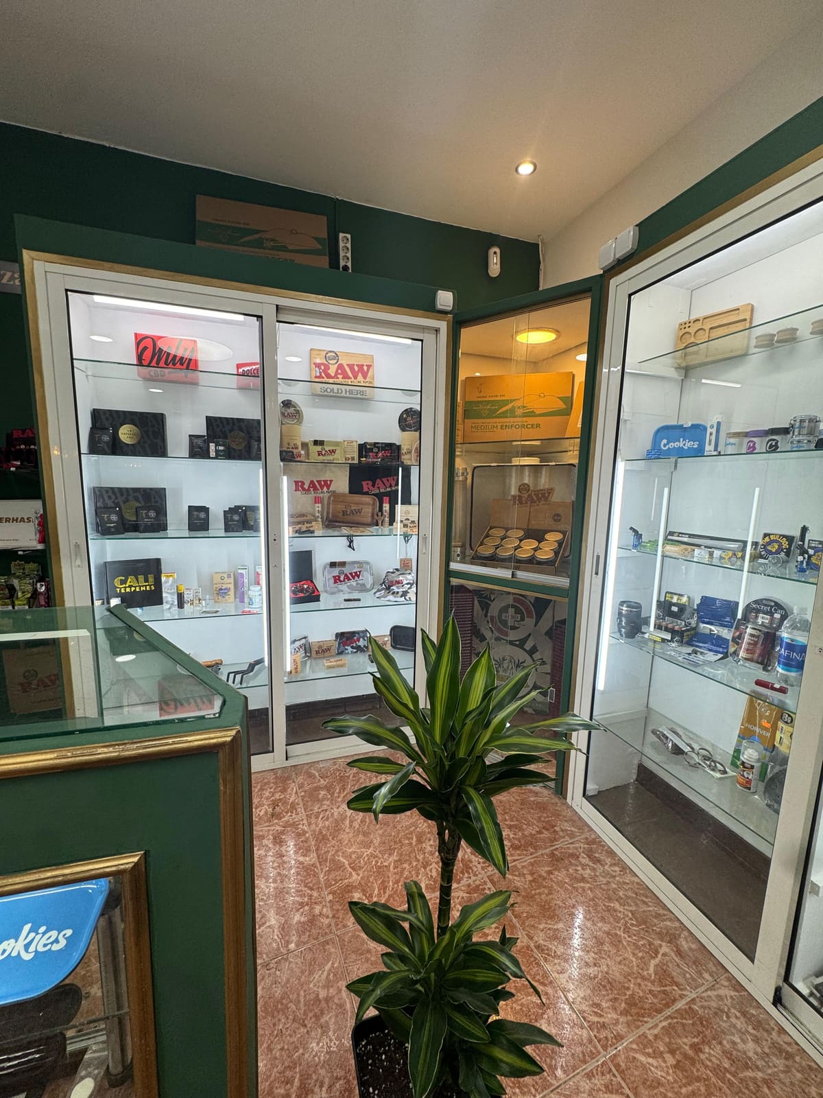Expositor de productos CBD en la tienda de Algeciras